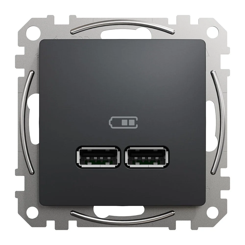 Розетка Schneider Sedna Design чорна 2-на USB A+A без рамки ( SDD114401 )
